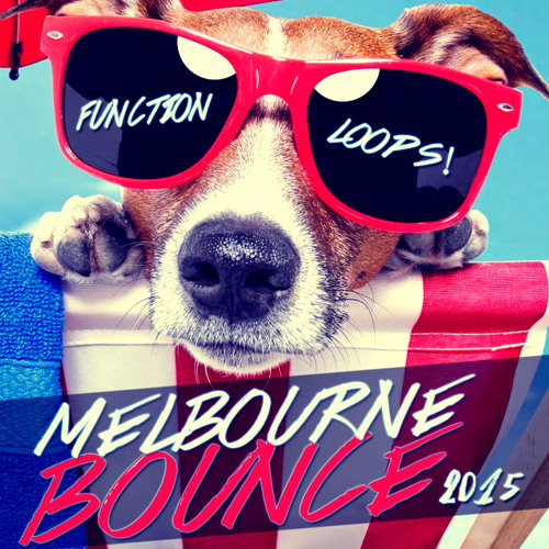 Summer Melbourne Bounce 2015 - Function Loops