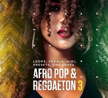 Diginoiz Afro Pop And Reggaeton 3 WAV MiDi