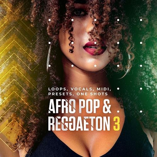 Diginoiz Afro Pop And Reggaeton 3 WAV MiDi