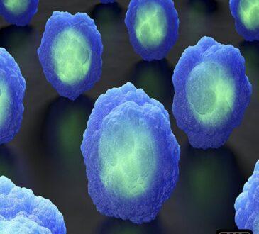 Offset Prod Cyber Funk Minds WAV