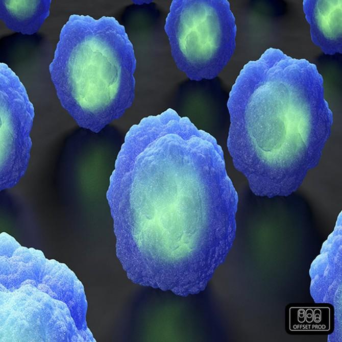 Offset Prod Cyber Funk Minds WAV