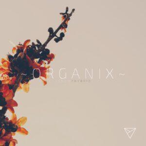 Unmute ORGANIX WAV MiDi SERUM