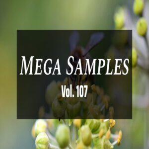 Mega Samples Vol 107 all