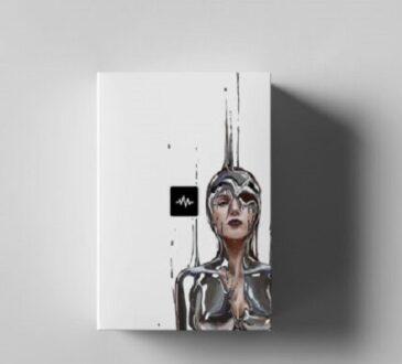 WavSupply JRHITMAKER Chrome WAV