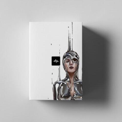 WavSupply JRHITMAKER Chrome WAV